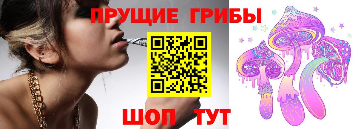 Галлюциногенные грибы MAGIC MUSHROOMS  Вход с VPN  Карачаевск 