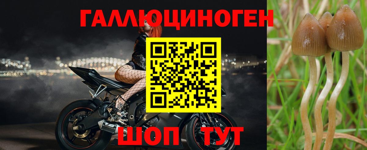 Конопля  МЕТАМФЕТАМИН  Меф   Карачаевск  Вход с VPN  Кокаин  Гашиш 