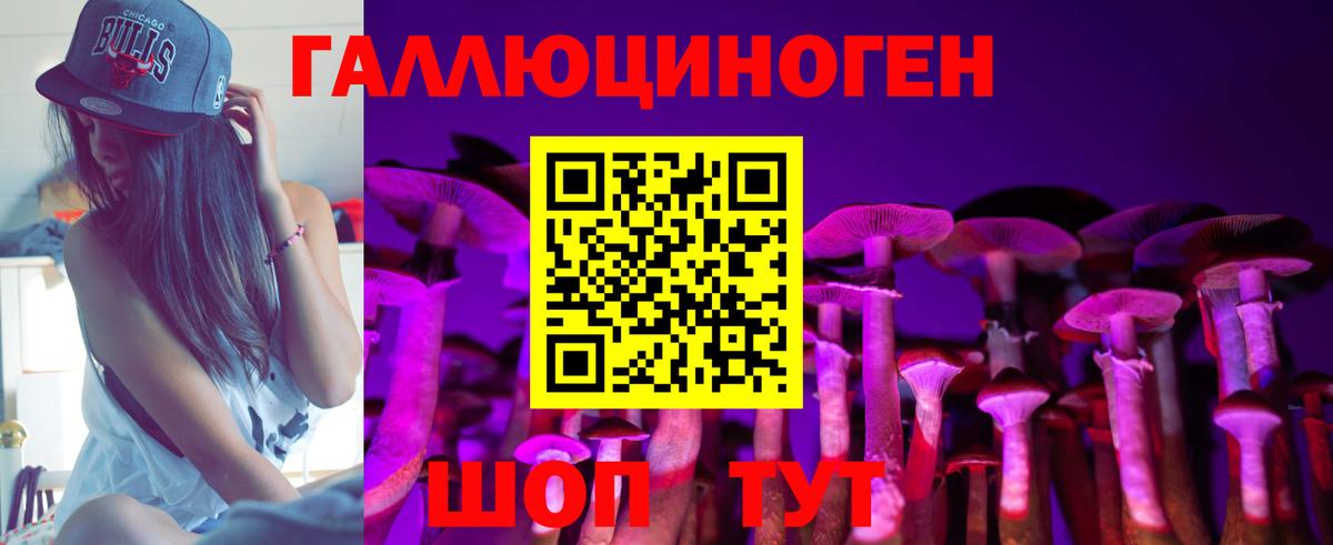 Галлюциногенные грибы Psilocybe Карачаевск